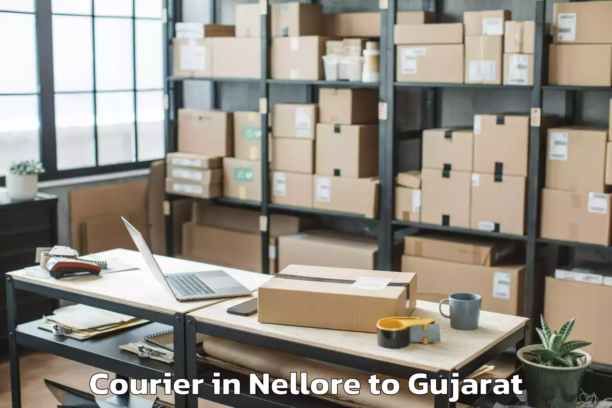 Easy Nellore to Abhilashi University Rajkot Courier Booking